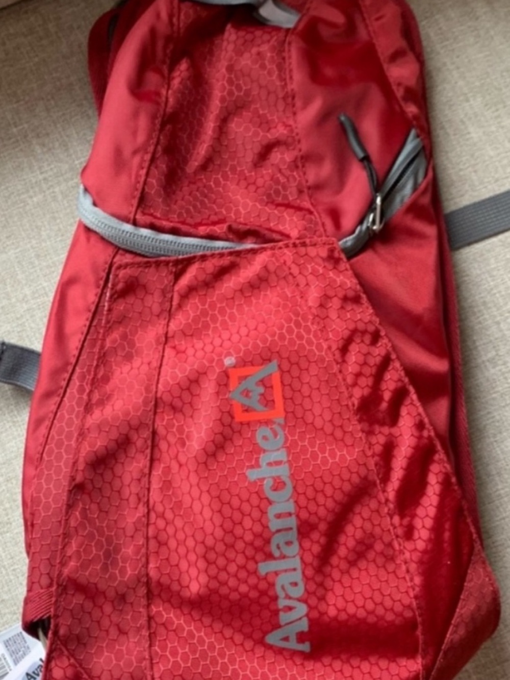 Avalanche Red Hydration Daypack
